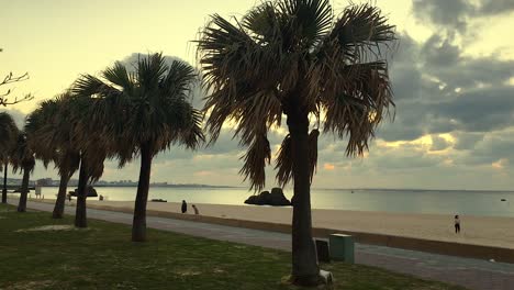 Araha-Beach-Okinawa-Japón-Al-Atardecer-Con-Un-Patinador-Pasando,-Palmeras-En-Primer-Plano