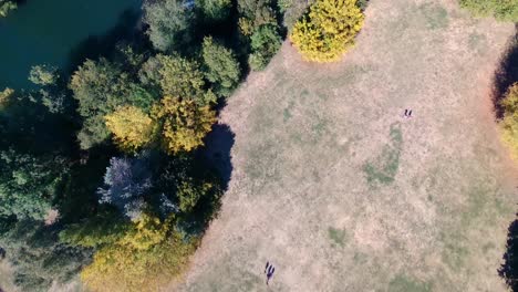 top-down-drone-view-in-a-park-with-people-passing-by,-looking-like-ants