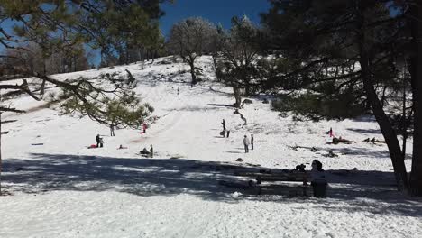 People-sledding-on-a-large-snowy-hillside-outside-of-San-Diego-after-a-winter-storm