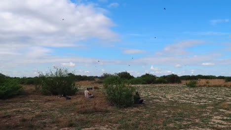 Die-Südliche-Karminrote-Bienenfresserkolonie-Während-Des-Sommermonats-Oktober-Entlang-Des-Zambezi-flusses-In-Der-Nähe-Von-Kalizo