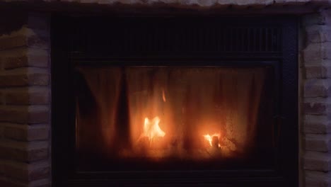 Close-view-of-a-closed-fireplace