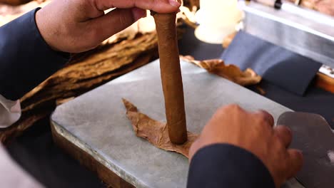 Close-up-shot-of-a-person-carefully-hand-making-a-cigar-in-a-factory-in-the-Caribbean