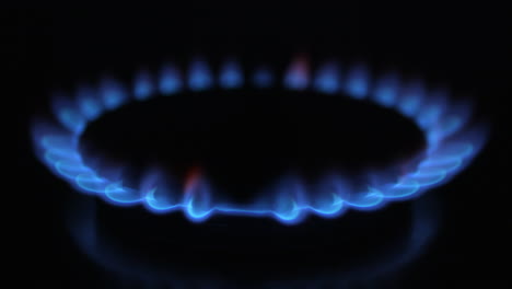 Stove-top-blue-flame-isolated-with-a-dark-background