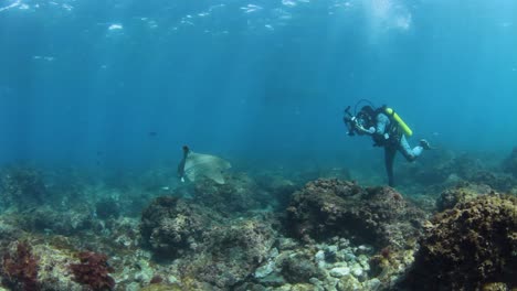 Ein-Unterwasserkameramann,-Der-Von-Einem-Freundlichen-Hai-Umkreist-Wird,-Während-Er-Für-Ein-Forschungsprojekt-Fotografiert