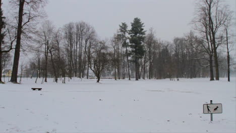 Ein-Mann-Schlendert-Während-Eines-Starken-Schneefalls-In-Einem-Verschneiten-Park