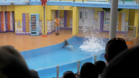 A-Grey-Seal-at-SeaWorld-Performs-a-High-Dive-During-a-Kids-Show,-Splashes-a-Trainer-and-Swims-Away,-Slow-Motion