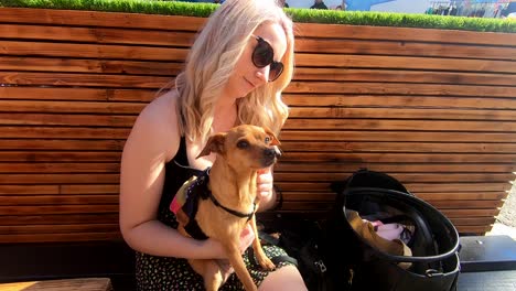 Beautiful-young-blonde-girl-pats-a-cute-dog-wearing-a-backpack-in-daytime