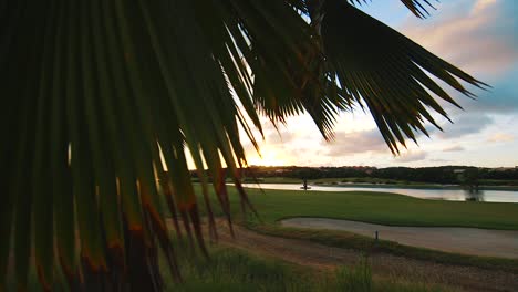 Revealing-a-beautiful-golf-course-at-sunset-from-behind-a-palm-tree-in-Curacao,-Caribbean
