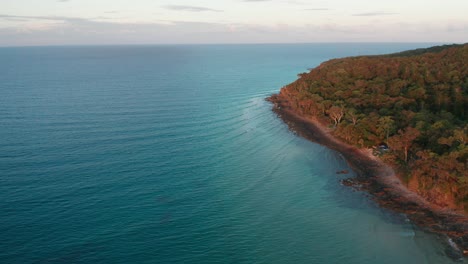 Drone-footage-of-a-warm-red-forest-right-by-a-deep-blue-ocean