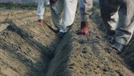 Indian-Farmer`s-Seeding-Crops-At-Field,-Low-Angle-Close-up-view