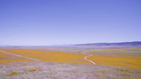 View-of-the-Poppy-Fields-from-atop-a-hill