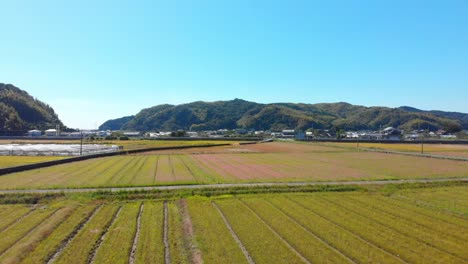 Volando-Sobre-Tierras-De-Cultivo-Y-Un-Pequeño-Pueblo-Con-Invernaderos-En-El-Campo-Japonés