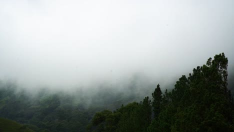 Espesa-Nube-De-Niebla-Que-Fluye-A-Través-Del-Bosque-Y-Las-Montañas-En-Costa-Rica
