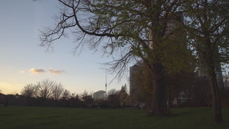 King-George's-park-in-London-at-Sunset,-wind-blowing-through-the-trees-at-golden-hour