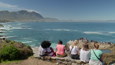 Group-watching-whales-in-Walker-Bay-from-vantage-point-and-taking-selfies