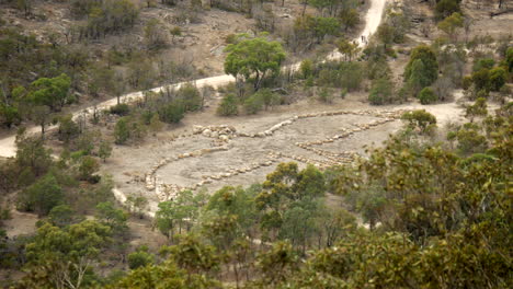 Geoglyphe-Eines-Vogels-Im-You-Yangs-National-Park,-Australien