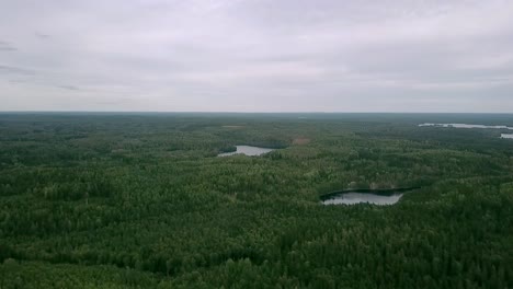 Aerial-panorama-footage-over-green-forest-from-there-to-skyline