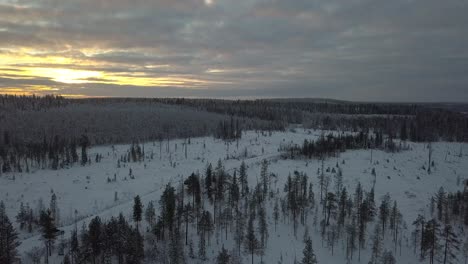 Der-Gefrorene-Wald-In-Der-Nähe-Von-Kuusamo-In-Lappland,-Finnland