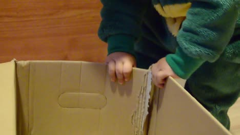 Süßes-Kind-Im-Dinosaurierkostüm,-Das-Zu-Hause-Mit-Karton-Spielt