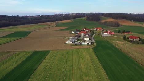 Village-Desenci-in-Slovenia-in-the-Panonnian-lowlands,-rural-countryside-of-central-Europe,-aerial-view-of-wheat-fields-and-a-farm