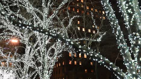 Outdoor-Landschaftsbau-Weihnachtsbeleuchtung-In-New-York-City