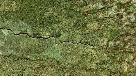 Bird's-eye-view-of-the-source-of-a-stream-snaking-through-a-lush-green-landscape