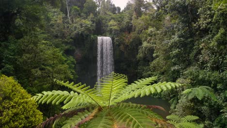 Drone-tracks-forwards-over-low-Palm-Tree-into-beautiful-secluded-waterfall-in-tropical-rainforest