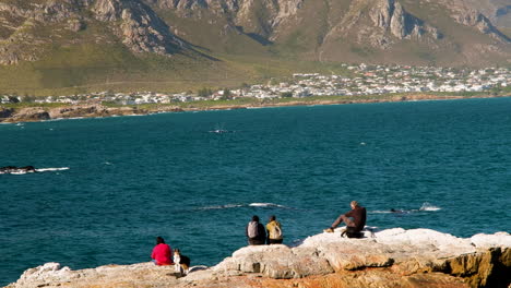 Whales-right-next-to-tourists-on-rocks---land-based-whale-watching