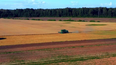 Flying-Towards-Farm-Tractor-Harvesting-Golden-Wheat-Crops-During-Harvest-Season