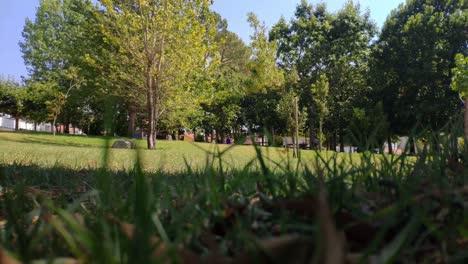 People-enjoying-free-time-under-the-trees-of-a-landscaped-park,-the-wind-moves-its-flashing-leaves-on-a-sunny-summer-afternoon,-panoramic-blocked-shot