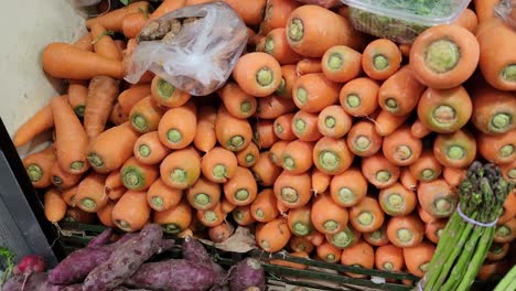 Video-Von-Vielen-Karotten-In-Einem-Lebensmittelmarkt