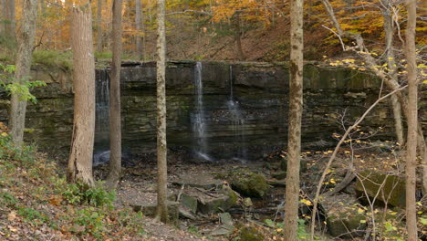 Ruhiges-Waldgebiet-Mit-Einem-Warmen-Herbstgefühl-Und-Einem-Sanften-Wasserfall