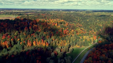 A-colorful-autumn-forest-in-Turaida,-Latvia-with-a-road-winding-through-it---aerial-flyover