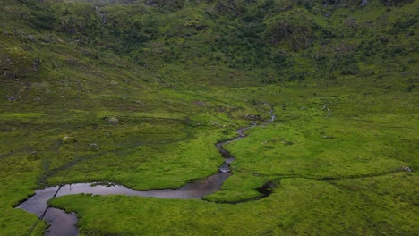 Following-a-dark-stream-towards-the-base-of-a-mountain-in-a-fresh-green-basin-valley