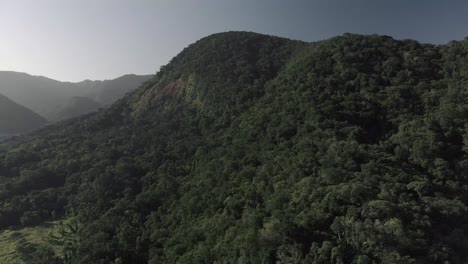 Drone-Vuela-Sobre-La-Hermosa-Selva-Tropical-Verde-4k