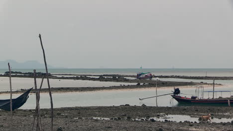 small-Thai-tourist-boat-enters-a-local-bay-through-a-rocky-fairway-at-low-tide,-dogs-playing-in-small-puddles-of-water
