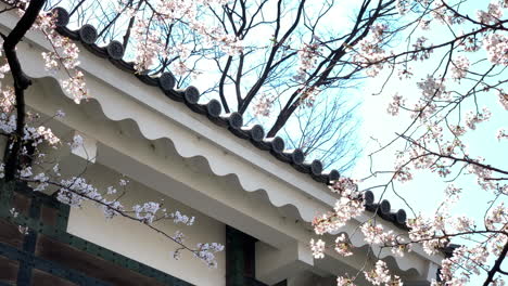 The-ceiling-of-Imperial-Palace-entrance-at-Chidorigafuchi-Park