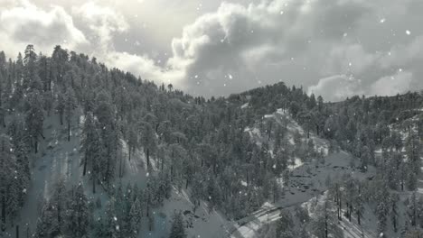 Luftaufnahmen-Von-Bergen-Und-Bäumen,-Die-Mit-Frischem-Schnee-Bedeckt-Sind