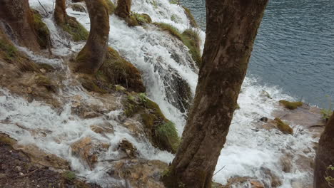 Cascada-Que-Fluye-A-Través-De-Los-Bosques-En-El-Parque-Nacional-De-Plitvice-En-Croacia