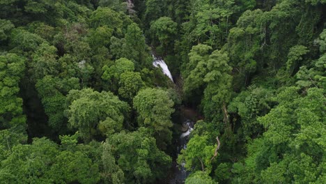Natürlicher-Brückenwasserfall-Im-Herzen-Des-Regenwaldes