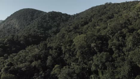 Drone-Acercarse-A-La-Densa-Selva-Tropical