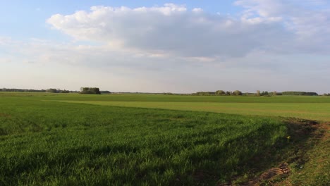 Agriculture-fields,-country-side-view