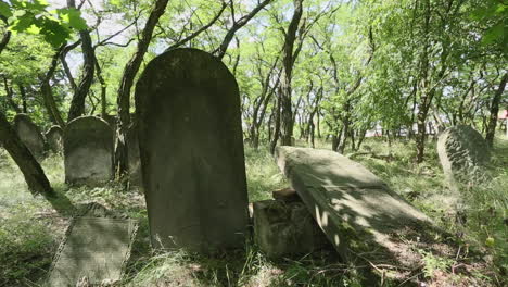 Lápidas-Judías-Bellamente-Talladas-Con-Inscripciones-Hebreas-En-El-Cementerio-Judío-De-Zdunska-Wola-Polonia