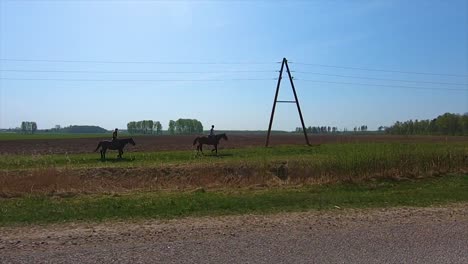 Horses-run-on-a-green-meadow-next-to-an-asphalt-road