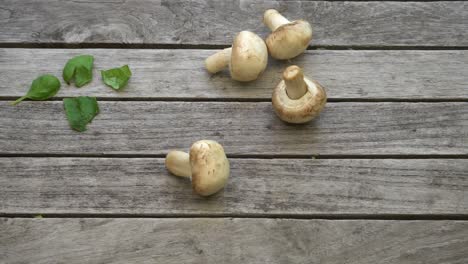 Footage-of-a-bunch-of-fresh-mushrooms-falling-on-to-a-wood-table