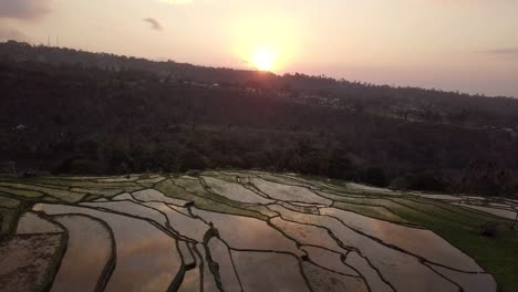 AERIAL:-Rice-terraces-in-Lombok-Indonesia