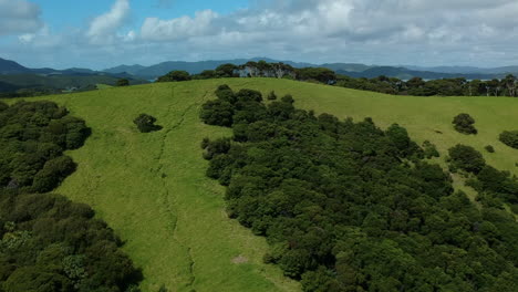Aerial-view-of-lush-green-hills-covered-with-trees-and-the-blue-ocean-in-the-background,-Bay-of-Islands,-New-Zealand