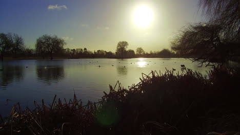 Countryside-lake-with-sun-glare,-camera-movement-upwards