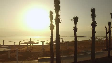 Aufgang-über-Den-Palmen-Am-Toten-Meer-Vor-Heißem-Sonnenaufgang