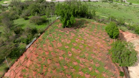 Aerial-boom-up-view-of-a-tree-plantation-in-a-nursery-hidden-in-the-mountains